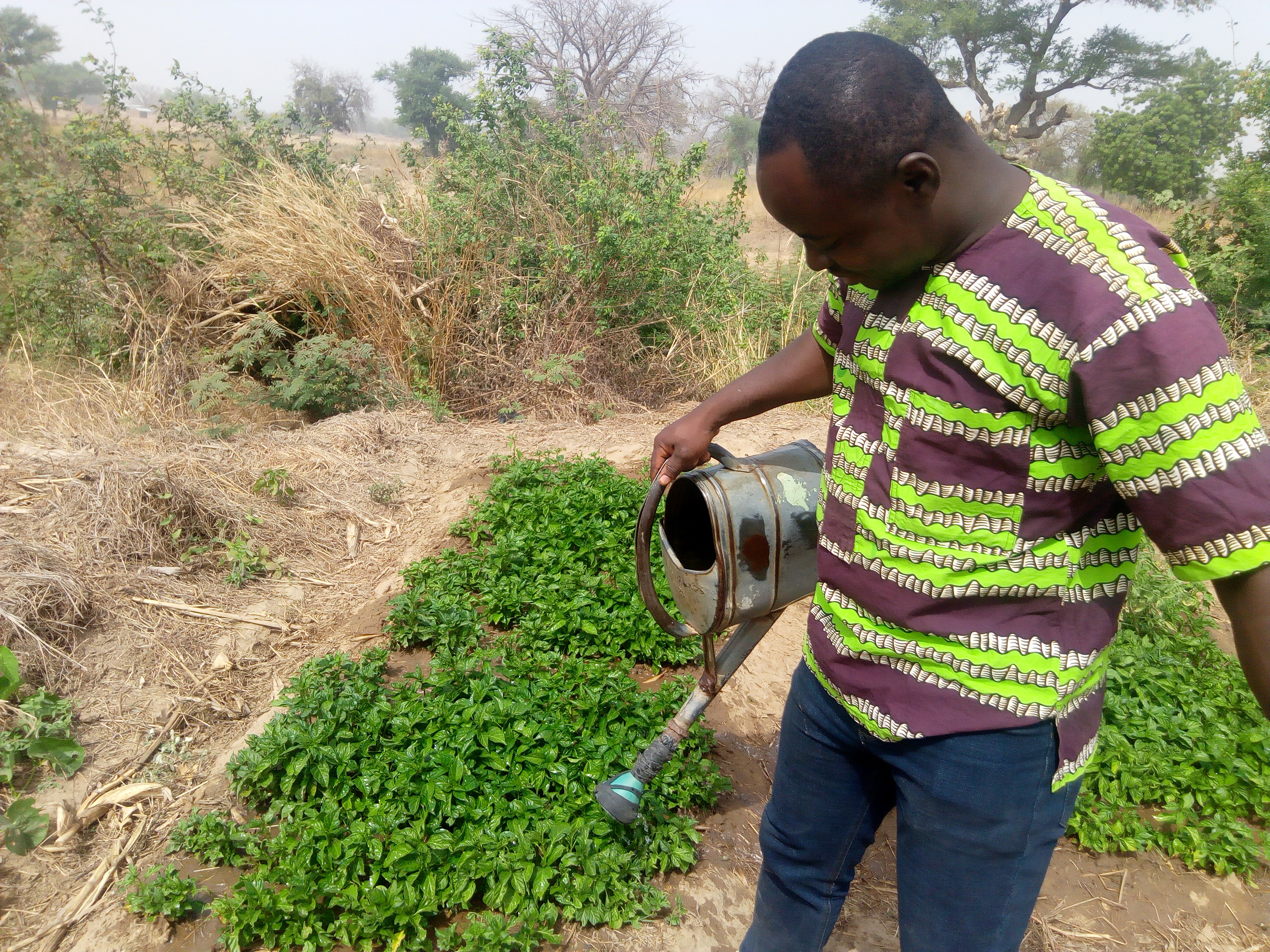 Livelihood Support Program