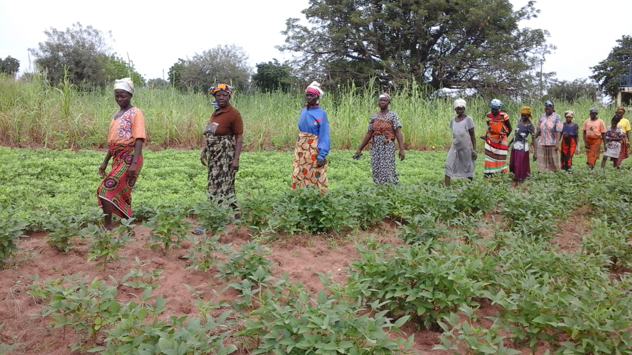 Women's Group Discussion