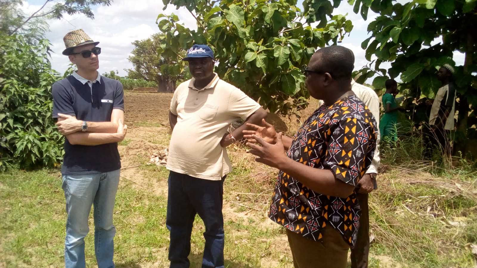 UNDP Field Monitoring