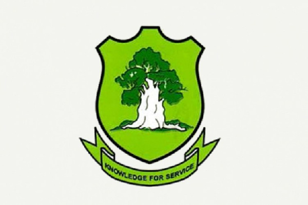 61552832 client-image