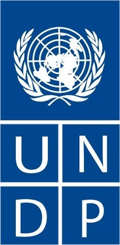 UNDP client-image